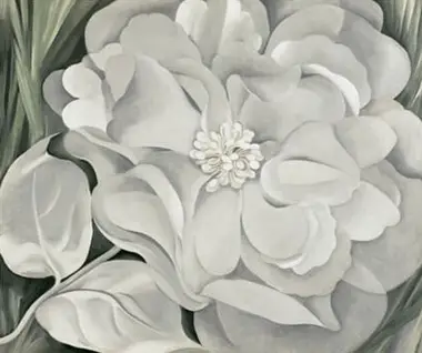 White Calico Flower Georgia O'Keeffe